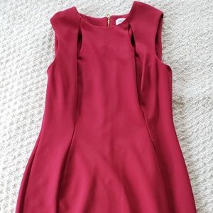Calvin Klein Red Sheath Dress Size 8